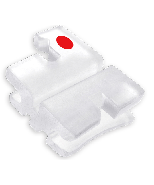 Amora Ceramic Bracket